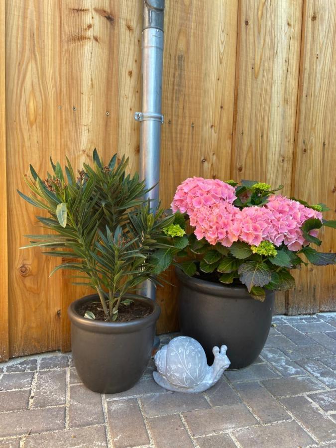 Kleine Auszeit Hébergement de vacances