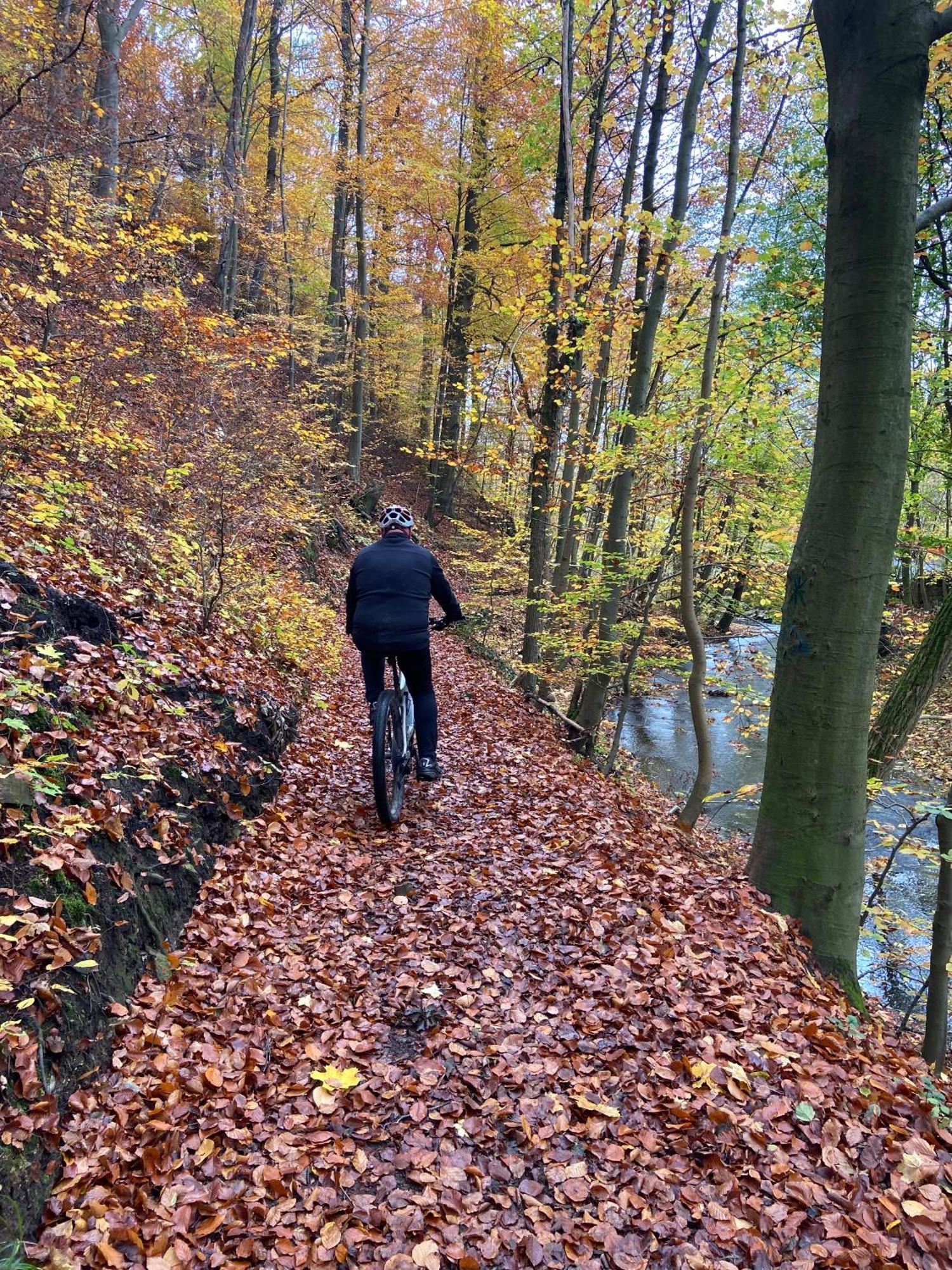 Hébergement de vacances Kleine Auszeit Bad Sachsa